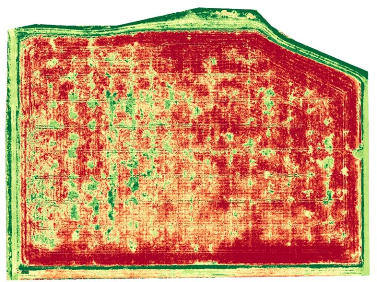 Field 4 Plant Health