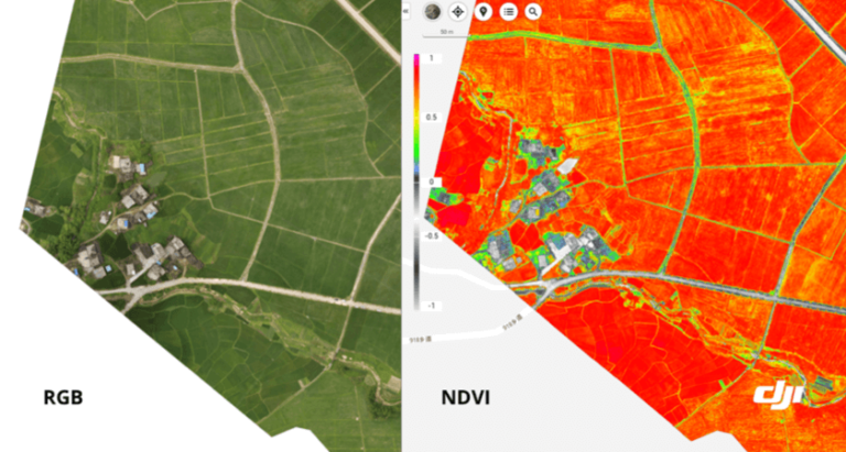 RGB vs NDVI