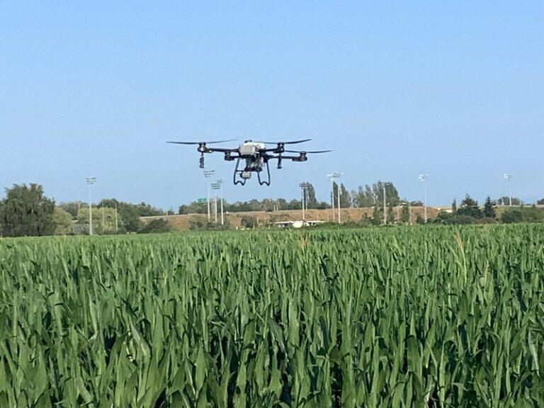 Agras t-25 spray drone over a corn field