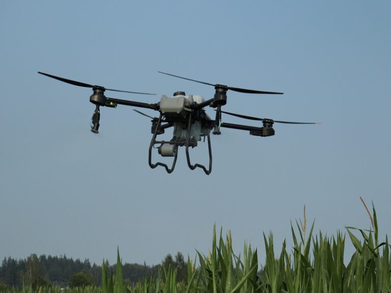 Close up of an Agras t-25 spray drone over a corn field