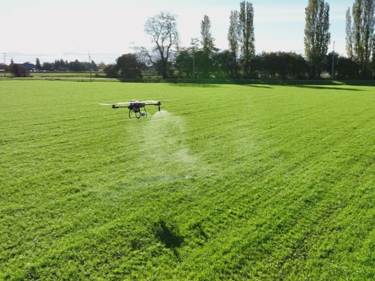 Drone spraying a micro nutrient fertilizer over a fescue mix grass field on a dairy farm