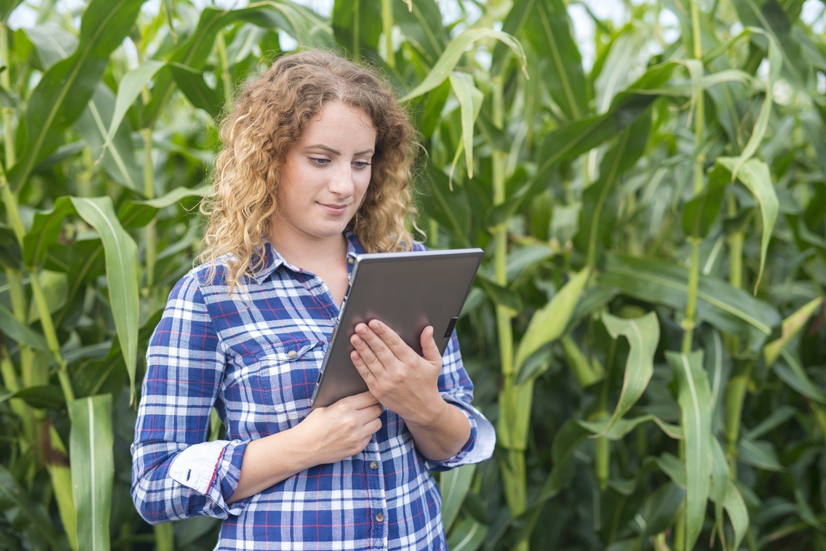 Girl farmer with tablet standing in the corn field using internet and sending a report.